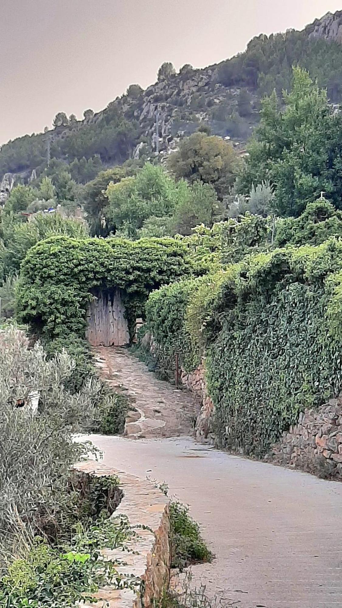 La Casonita Villa Alpuente Dış mekan fotoğraf